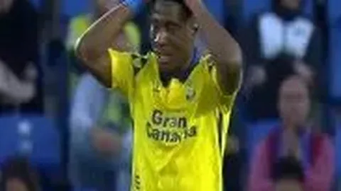 德奧委會公布東京奧運代表選手名錄